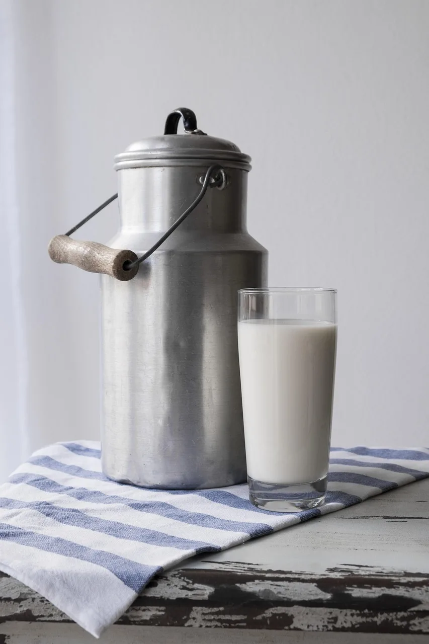 milk, food, nourishment, drink, glass, strengthening, meal, energy, protein, milk can, milk, milk, milk, milk, milk